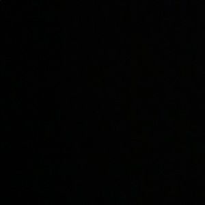 Meet your Posher, Lama